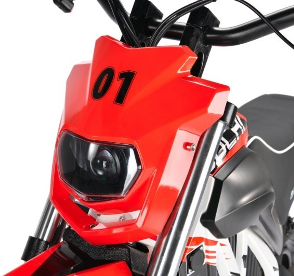 Электромотоцикл WHITE SIBERIA SOCHI 1300W RED