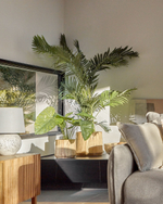 Искусственное растение Alocasia пахучая с черным горшком 57 см