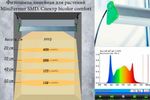 Фитолампа minifermer, инфографика с распределением ppfd и графиком спектра bicolor comfort