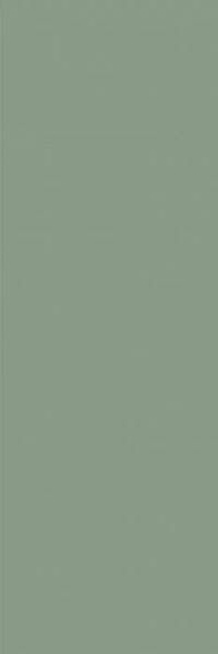 Настенная плитка Ekzotic olive (NB_0403)