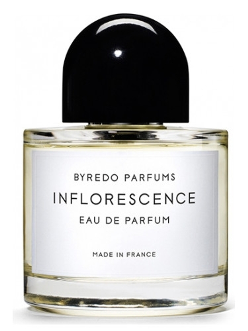 BYREDO Inflorescence