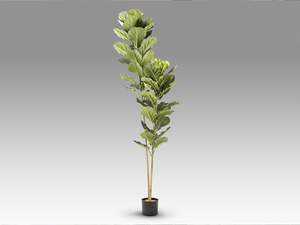 Higuera violin Искусственное растение H200