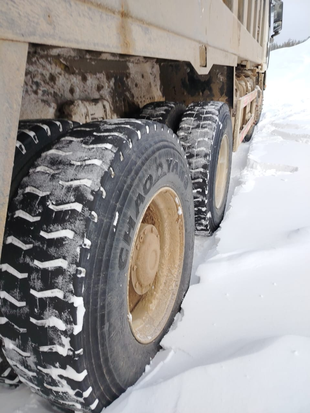 Shacman (Shaanxi) SX* 8x4 Самосвал SX33186W366C (Дизельный, 10,8 л, 441 л.с., МТ)