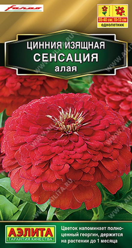 Циния Сенсация алая 12шт Аэлита