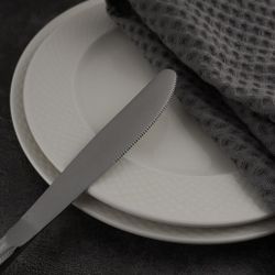 Нож столовый 22,3 см   P.L. Proff Cuisine [12]