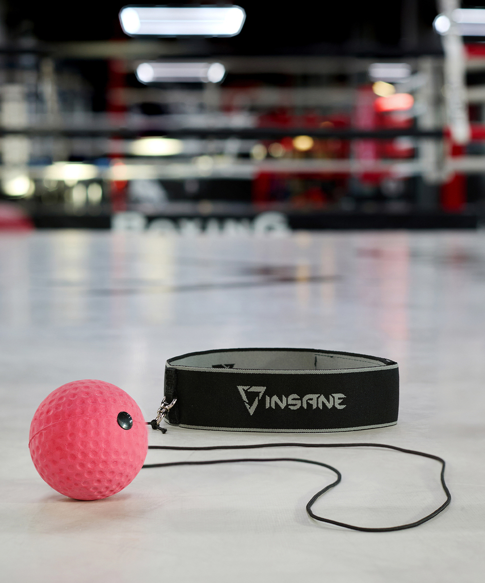 Мяч боевой INSANE IN24-FB102 на резинке