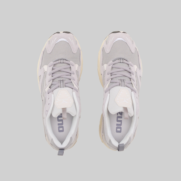 Кроссовки Mizuno Wave Rider 10 артикул:D1GA222611 - купить в магазине Дайс