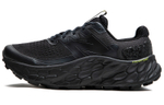 Кроссовки New Balance Nb Fresh Foam X More V3 Tds