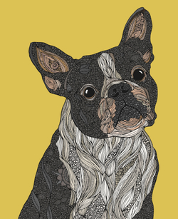 Коллекция Животные