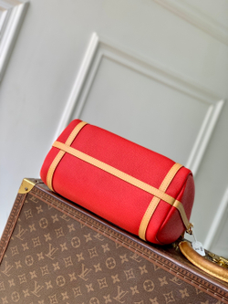 Louis Vuitton Express PM
