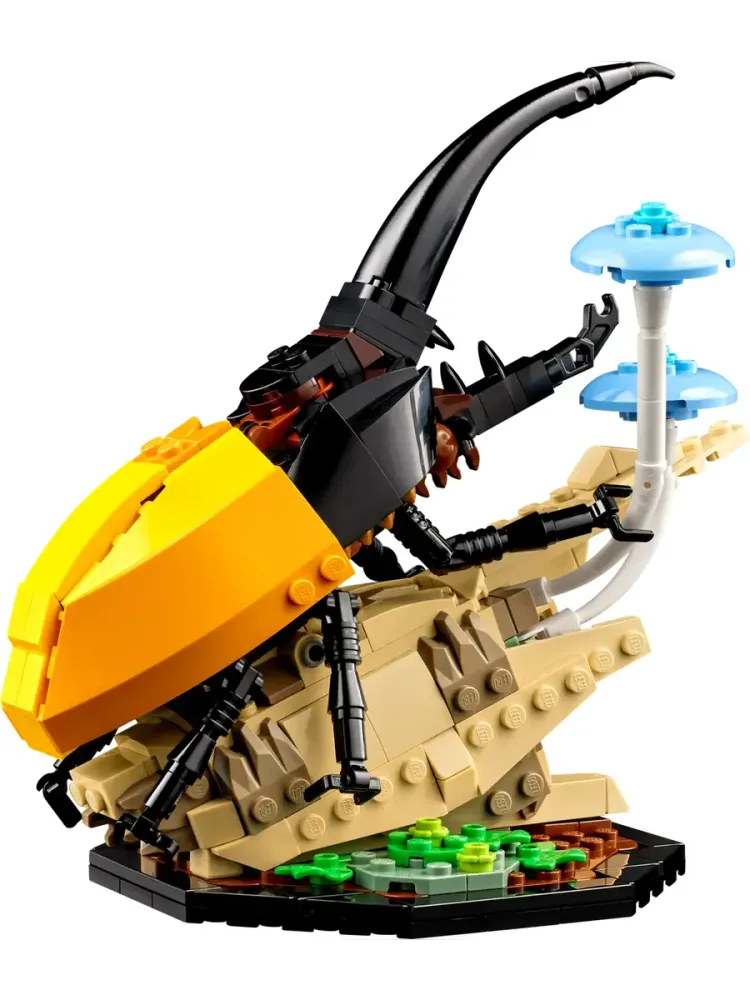 Конструктор Ideas 21342 Коллекция насекомых