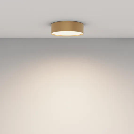 Потолочный светильник Зон / Zon 24 Вт 4000 К 120° Technical c032cl-24w4k-rd-mg