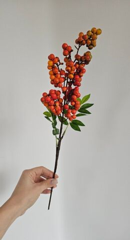 Ягоды / Арт 8043