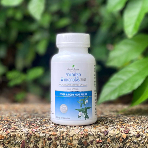 Экстракт Андрографиса в капсулах Andrographis Extract Capsule Herbal One