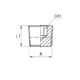 Заглушка (Ш) BSPT 1/2
