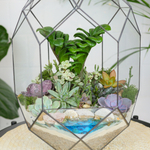 Готовый флорариум с суккулентами Цефей с озером