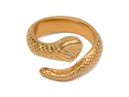 Кольцо "Змейка" 16мм, сталь