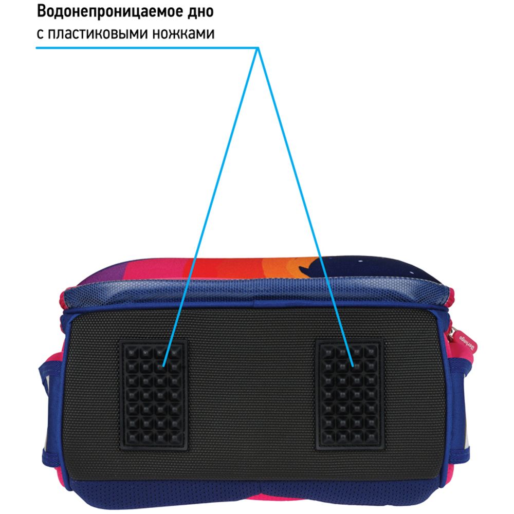 Ранец Berlingo Expert Surprised cat 37х28х16см, 2 отд., с анатомической спинкой