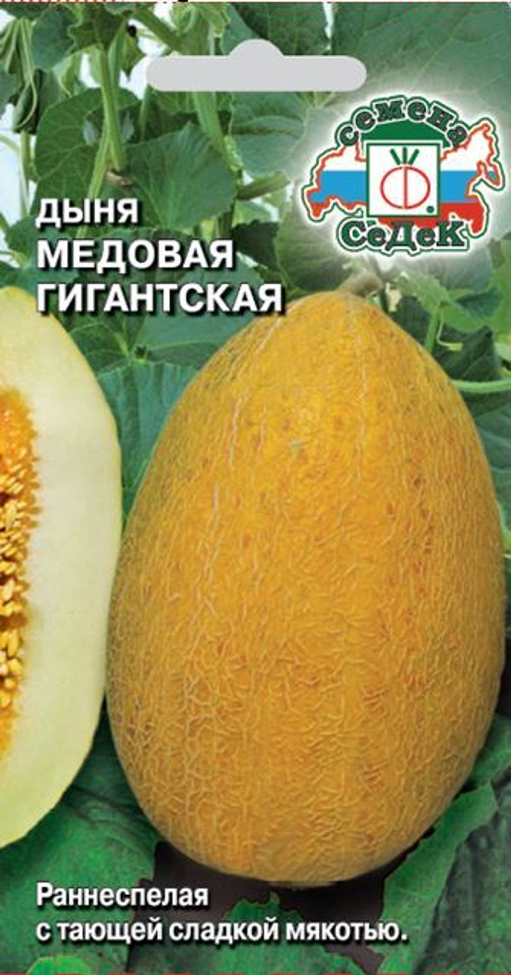 Дыня Медовая гигантская Седек