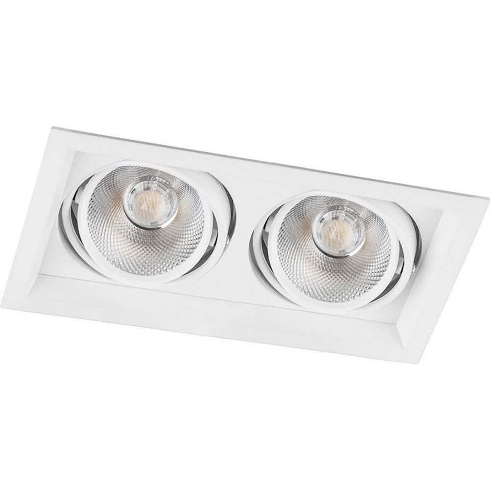 Светильник карданный светодиодный 2x20W 3600 Lm. 4000К. 35 градусов. белый. AL202 с драйвером и клеммой в комплекте