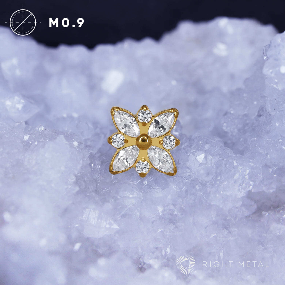 Bait Crystal PVD Yellow