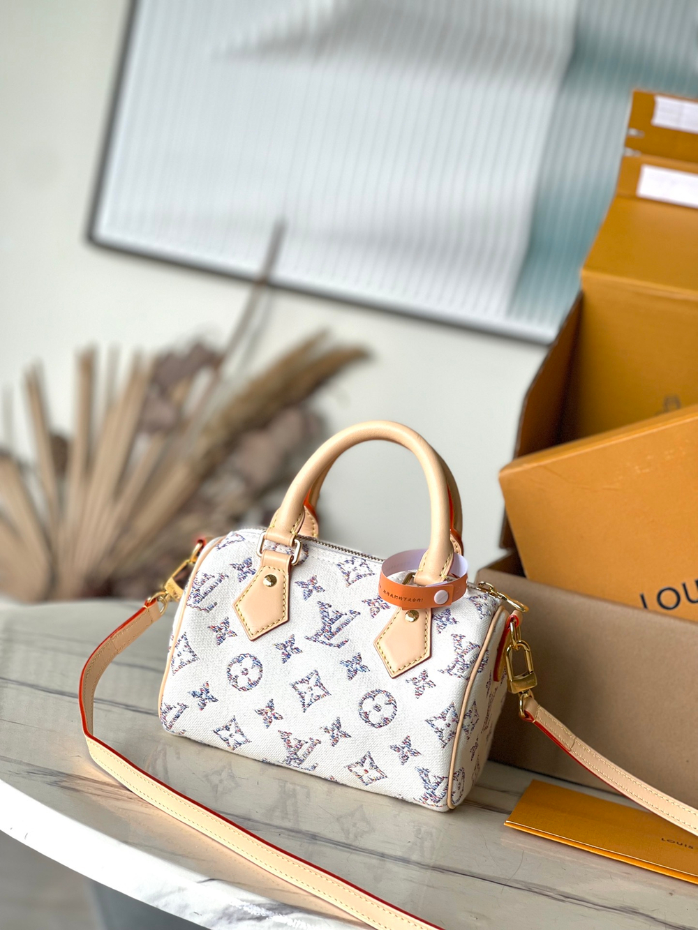 Louis Vuitton Speedy 20