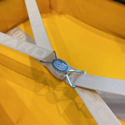 Goyard Bourget PM Trolley Case