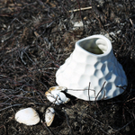 Набор для выращивания eco Вулкан