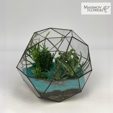 Флорариум "Терпсихора"