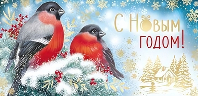 Конверт для денег 170х82мм "С Новым Годом!" золотая фольга (Сфера)