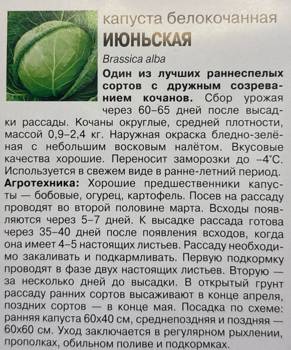 Капуста_б/к Июньская, 0,5г., Урожай Удачи СМК-84