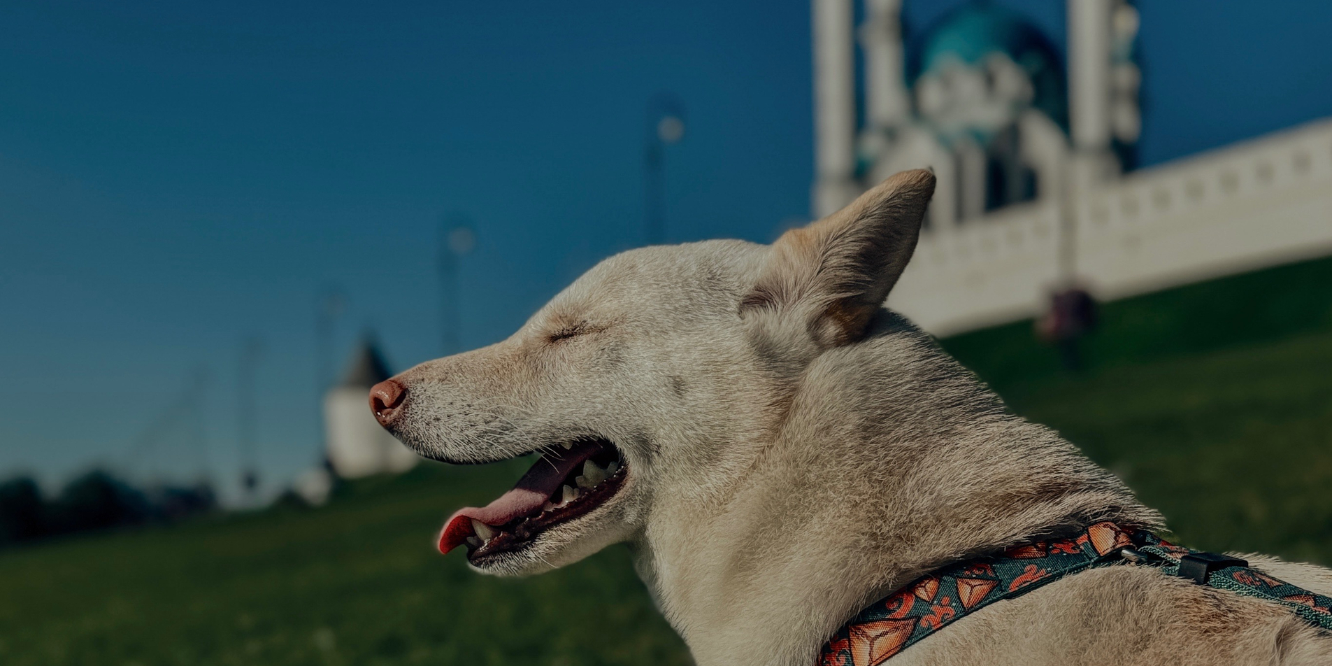 Эчпочмак с горячим чаем