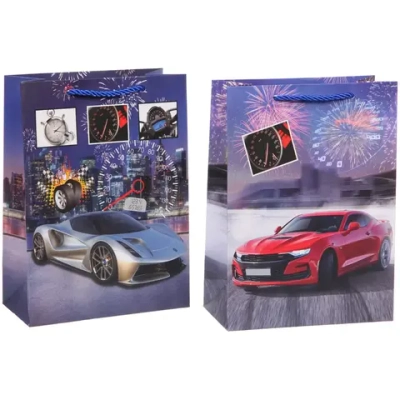 Пакет подарочный «Гонка» 18*24*8,5 см, микс