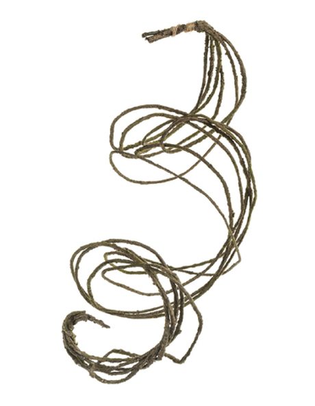 Лоза ветки декоративные (связка 6 шт.)