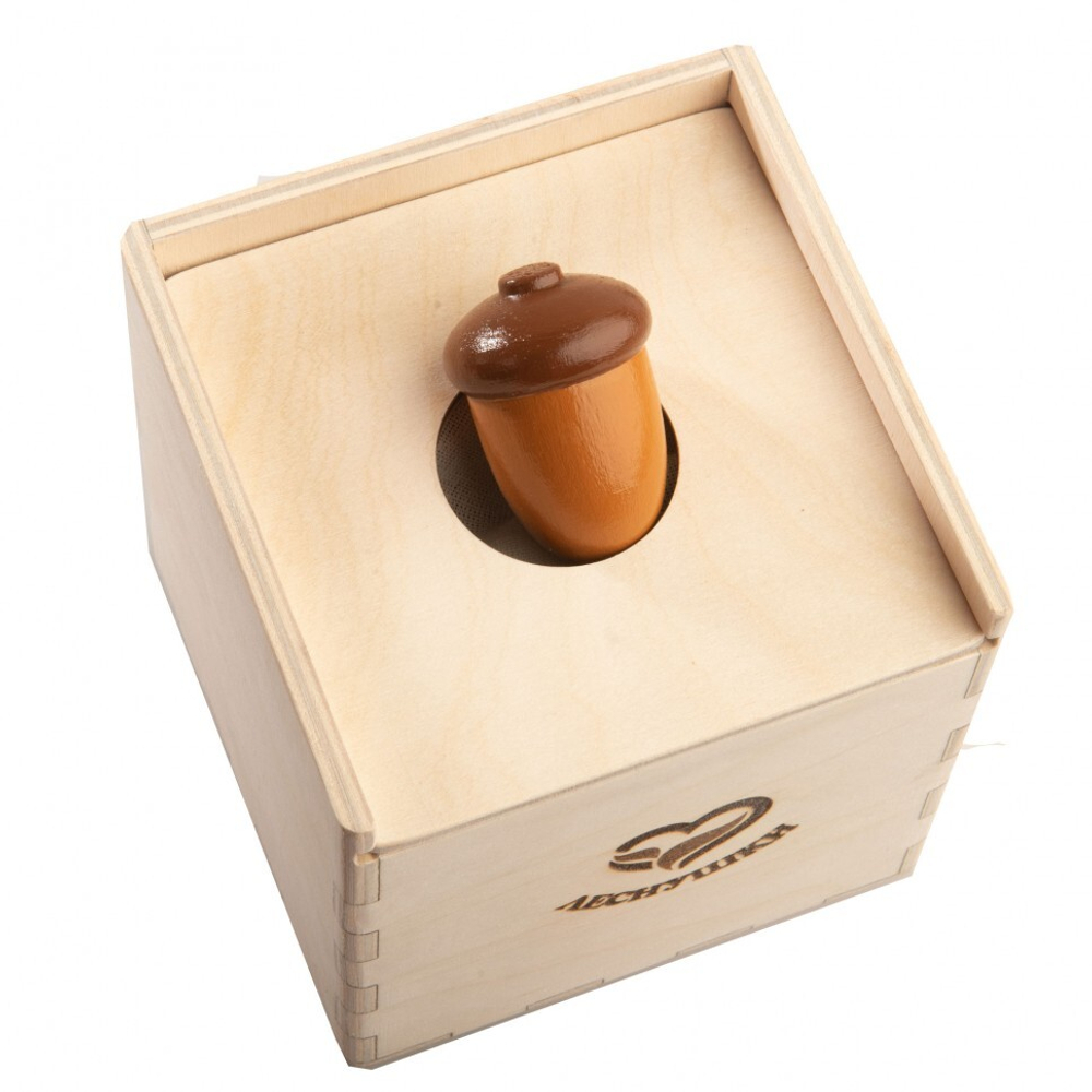 Счетный материал 12 желудей в коробочке-сортере