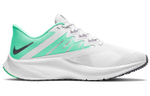 Кроссовки Nike Quest 3 (Женская размерная сетка)