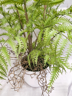 Искусственный Папоротник лесной серебристый 70см в кашпо