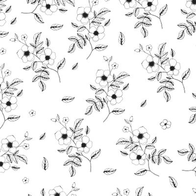 Шиповник или дикая роза, черно-белый