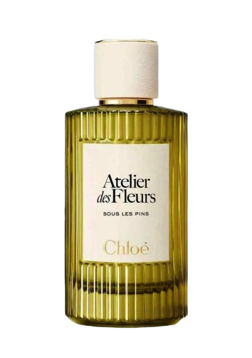 Chloé Sous les Pins