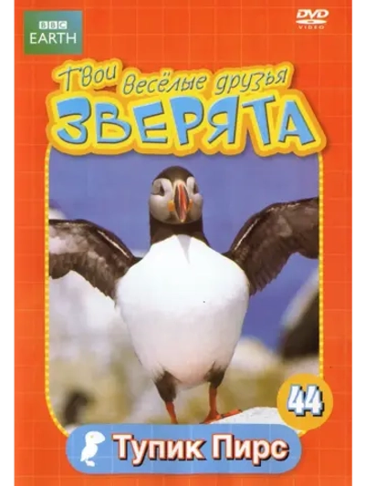 BBC: Твои веселые друзья зверята: Тупик Пирс (DVD-R)