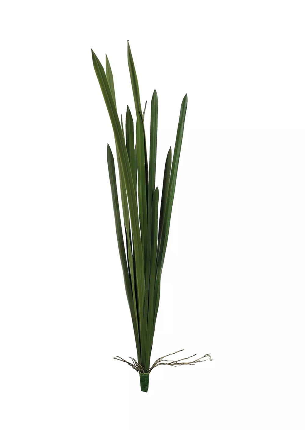 Куст из 12 листьев высокий