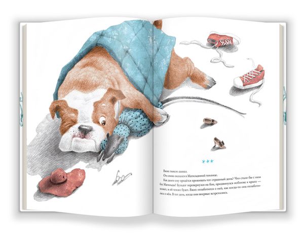 Браво, Вжих!