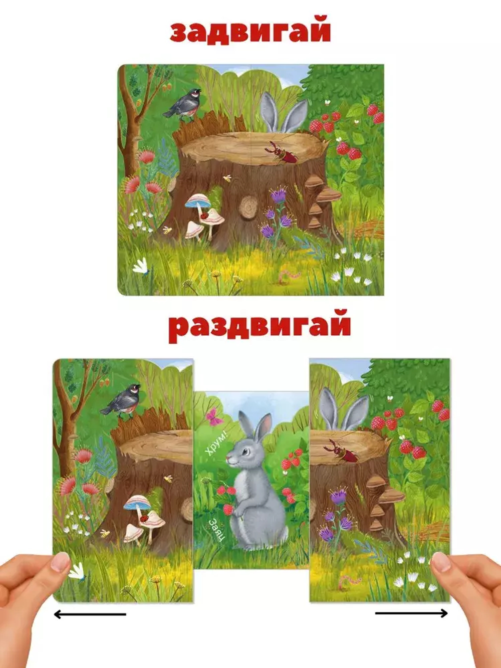 Книжки - задвижки. Кто там спрятался?