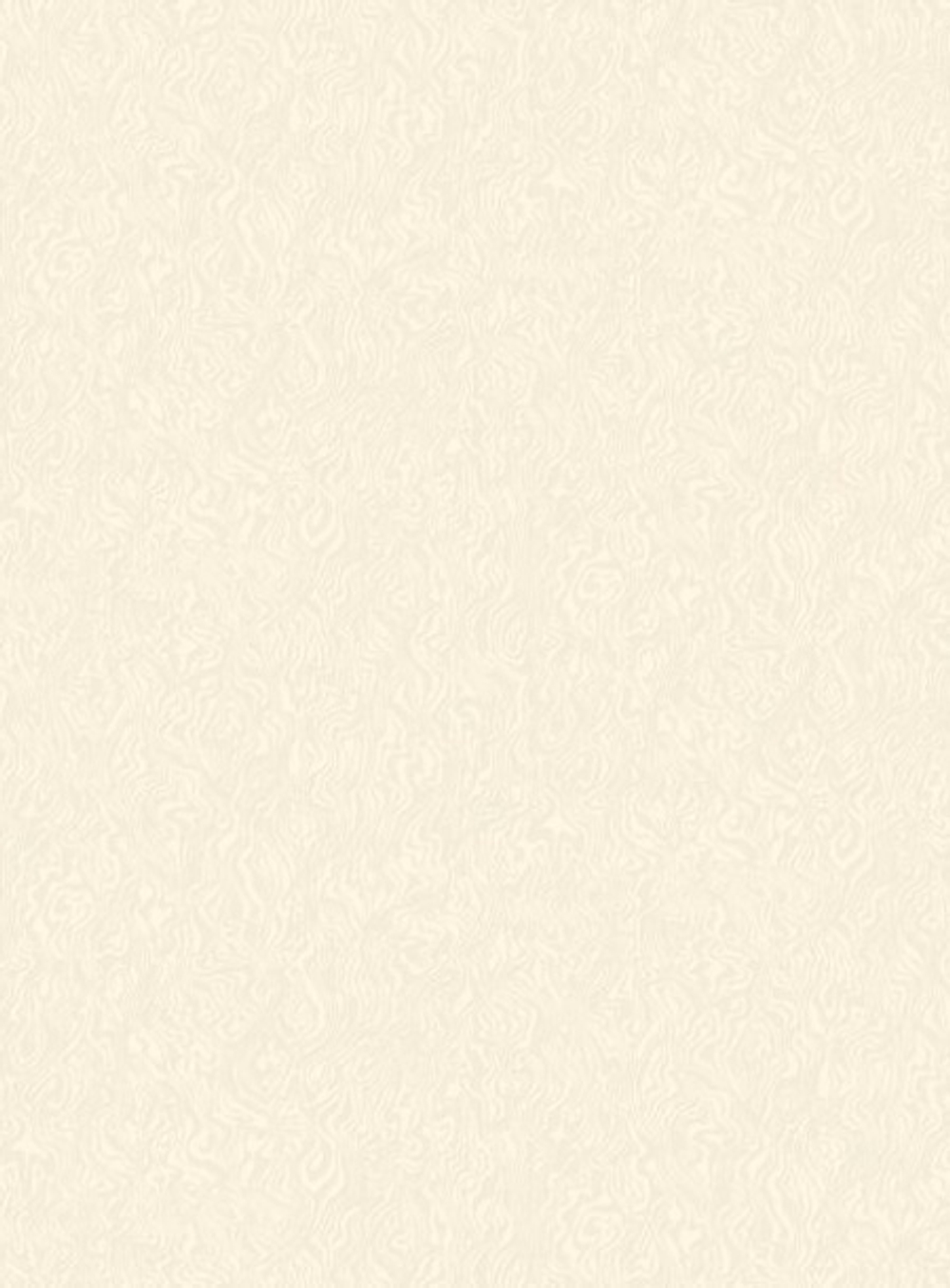 Сальвадор-фон 21 светло-серая