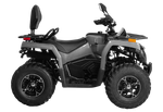 Квадрицикл Bizon YK250 BASIC CARB Серый