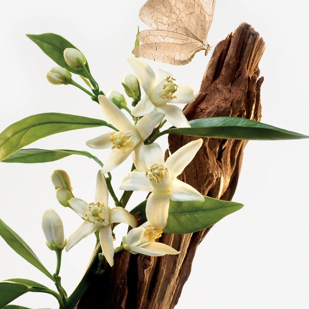 GOUTAL Le Temps des Rêves Туалетная вода для женщин