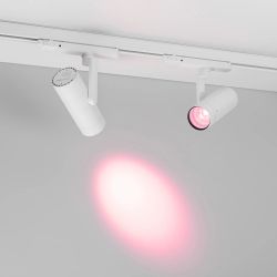 Светофильтр LGD-ARTIFACT-COLORFUL-FIX-ZOOM-R65 (WH-PK) (Arlight, Металл) 057143