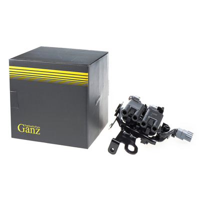 Катушка зажигания HYUNDAI Elantra/KIA Cerato/Sportage II 2.0L 04 GANZ GIG16136