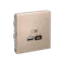 ARTGALLERY USB РОЗЕТКА A + тип-C 45Вт высокоскор.заряд. QC, PD, механизм, ПЕСОЧНЫЙ