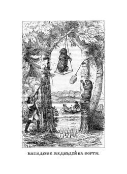 Практическое пчеловодство. Часть 5 и последняя, заключающая в себе дополнения к четырем предыдущим чатям, равно необходимым как для пасечников, так и для бортников. | Н. Витвицкий